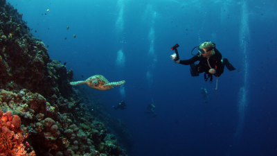 OPEN WATER DIVER (OWD)